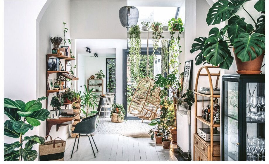 5 Innovative Ways to Style Your Space with House Plants